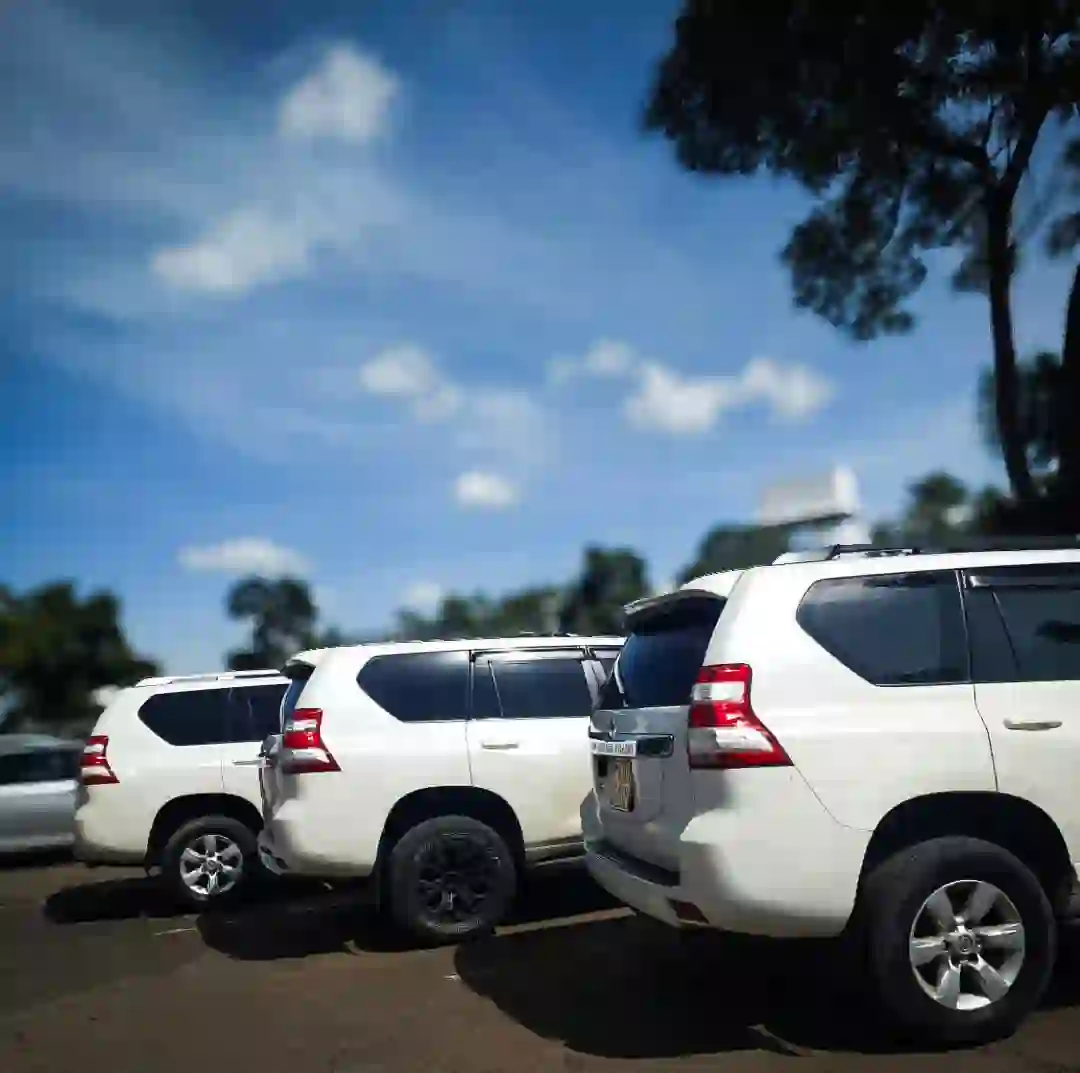 V8 LC200 & Prado Car Yard White Car Hire