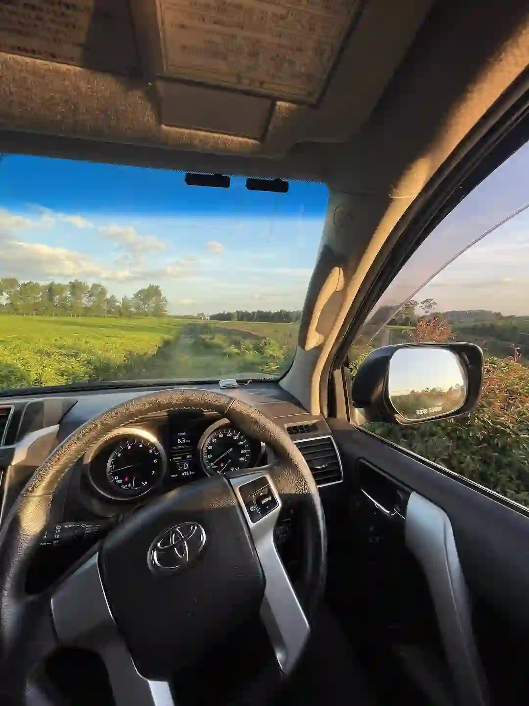 Prado Prado Garden Car Hire