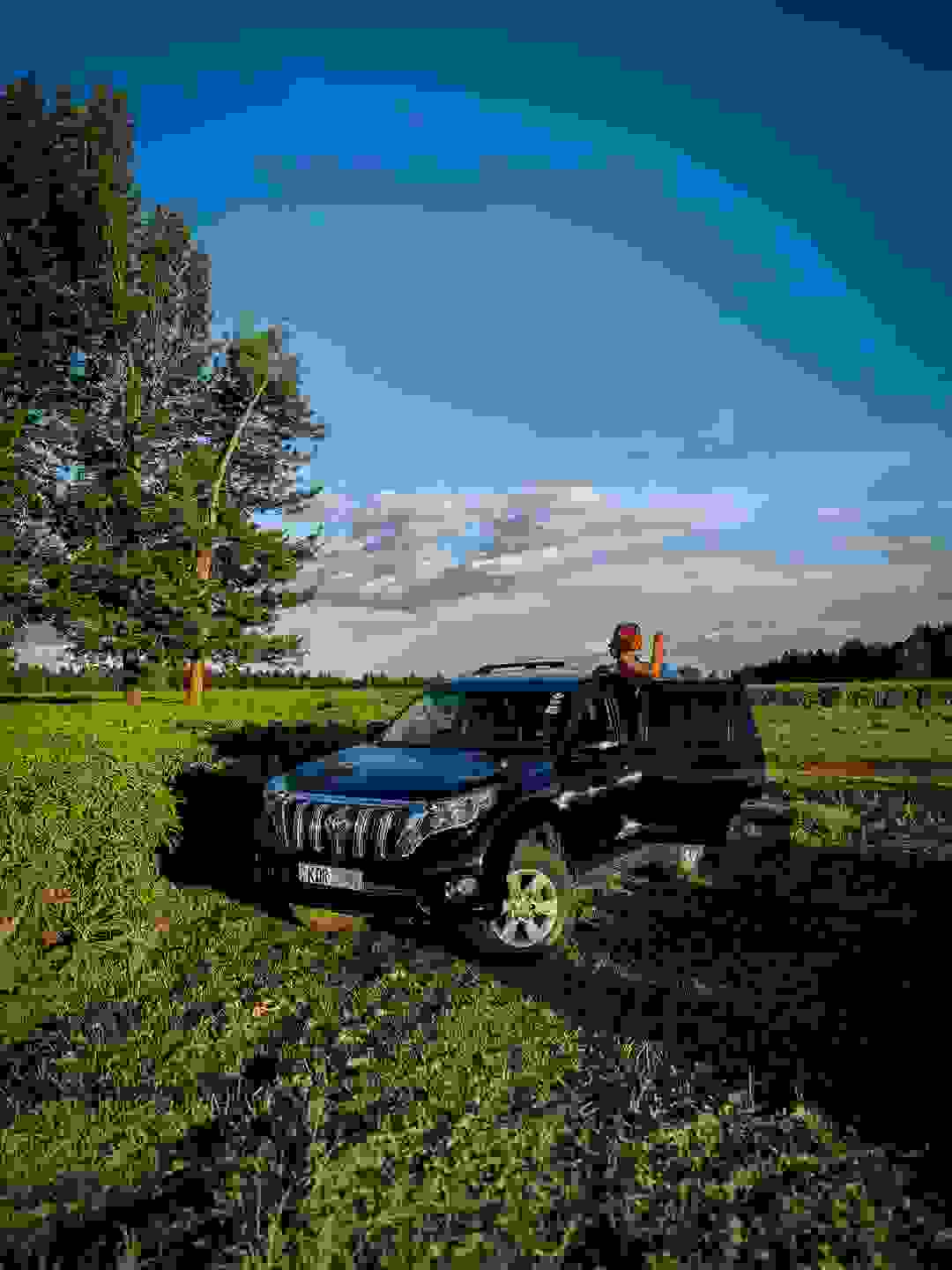 Prado Prado Garden Girl Car Hire