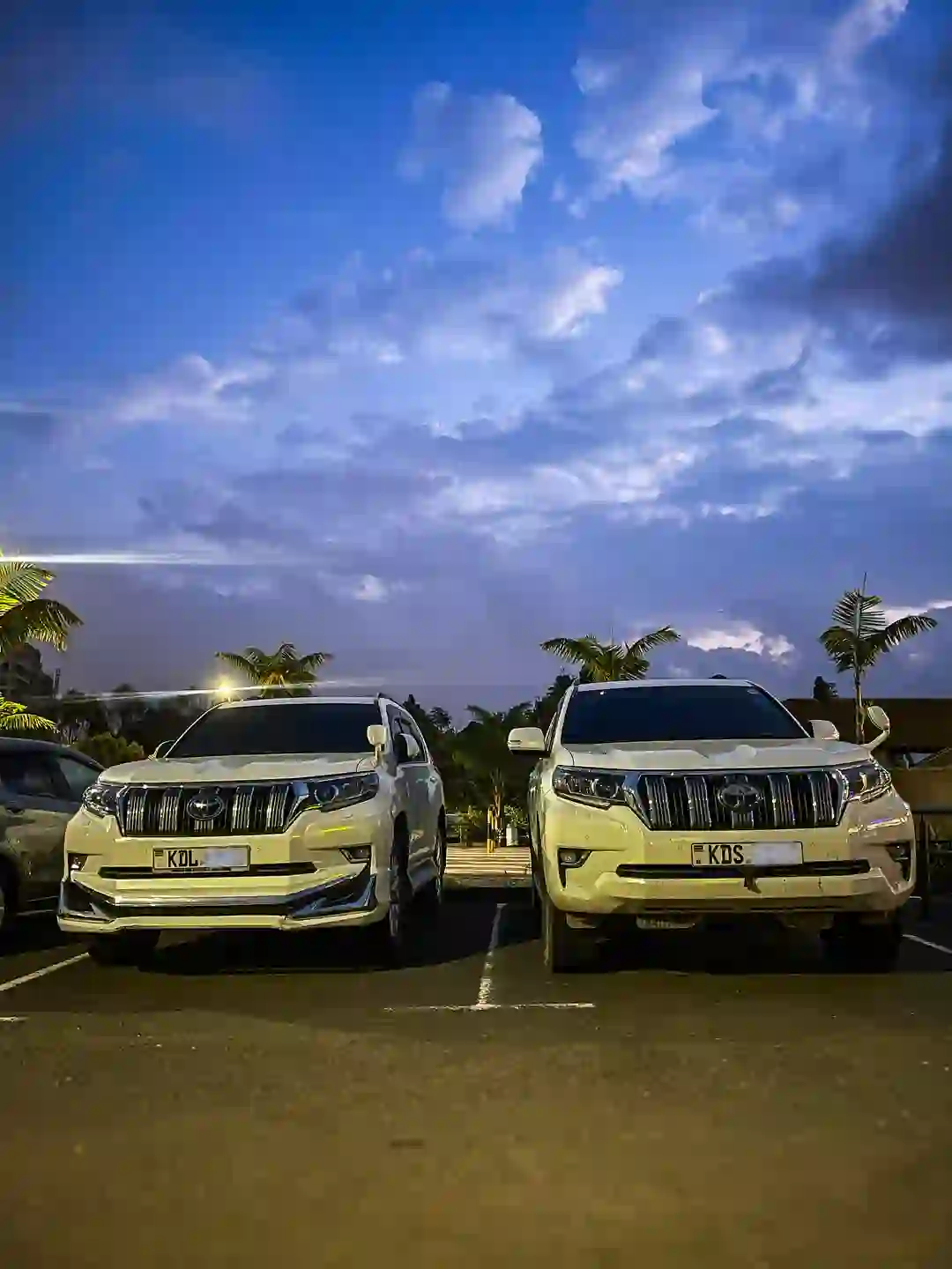 Prado Prado White Car Hire